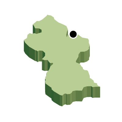 ガイアナ共和国無料フリーイラスト｜首都・立体(緑)